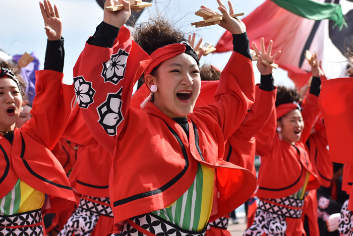 よさこい衣装・祭り衣装　　一喜一遊様 