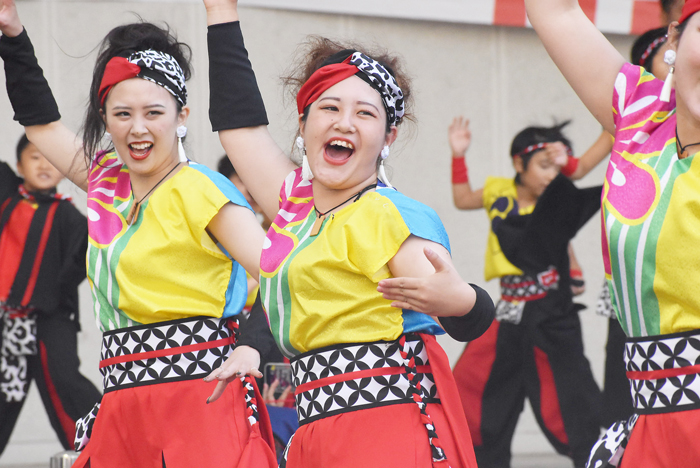 よさこい衣装・祭り衣装　　一喜一遊様 