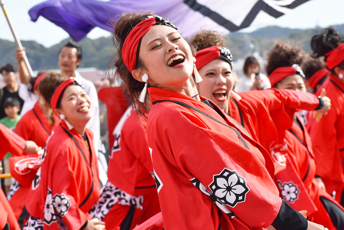 よさこい衣装・祭り衣装　　一喜一遊様 