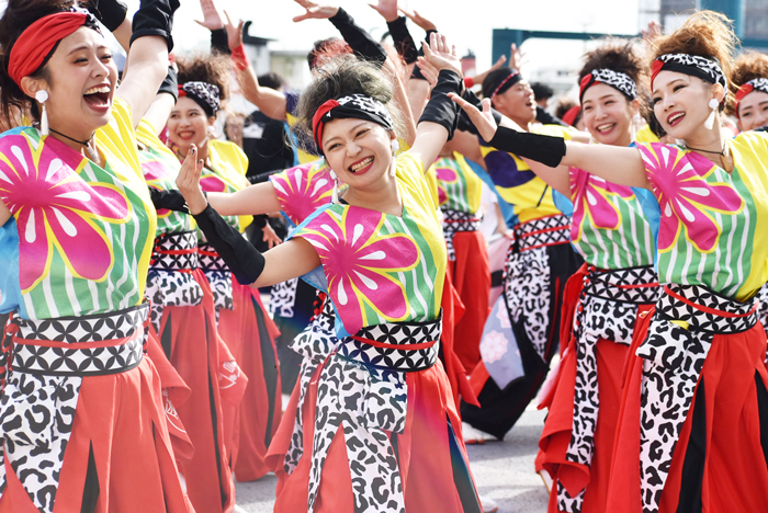 よさこい衣装・祭り衣装　　一喜一遊様 