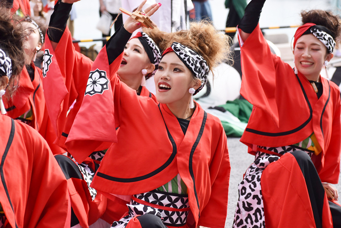 よさこい衣装・祭り衣装　　一喜一遊様 