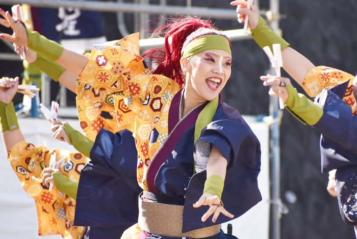 よさこい衣装・祭り衣装　　煌星様 