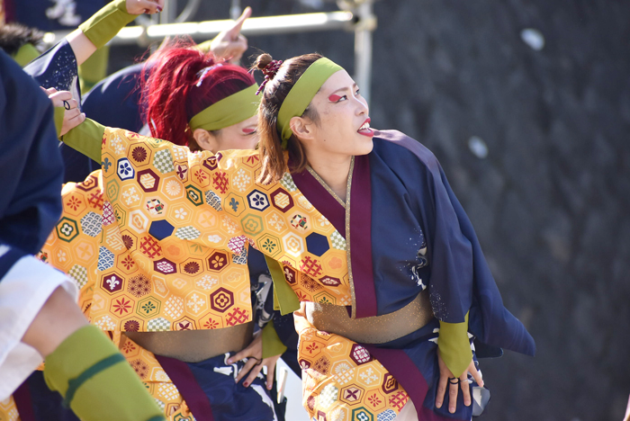 よさこい衣装・祭り衣装　　煌星様 