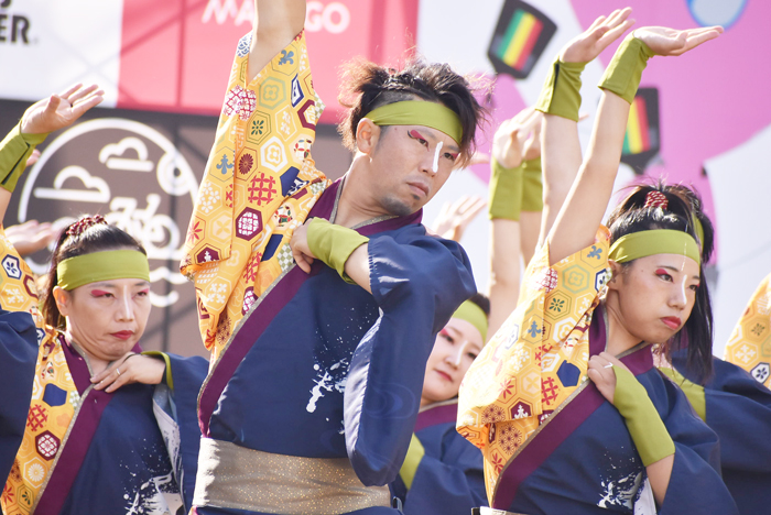 よさこい衣装・祭り衣装　　煌星様 