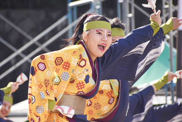 よさこい衣装・祭り衣装　　煌星様 