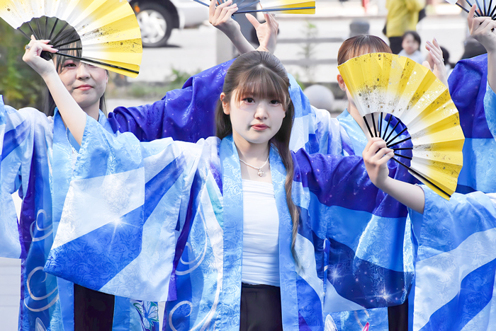 よさこい衣装・祭り衣装　　平成音楽大学ー響華ー様 
