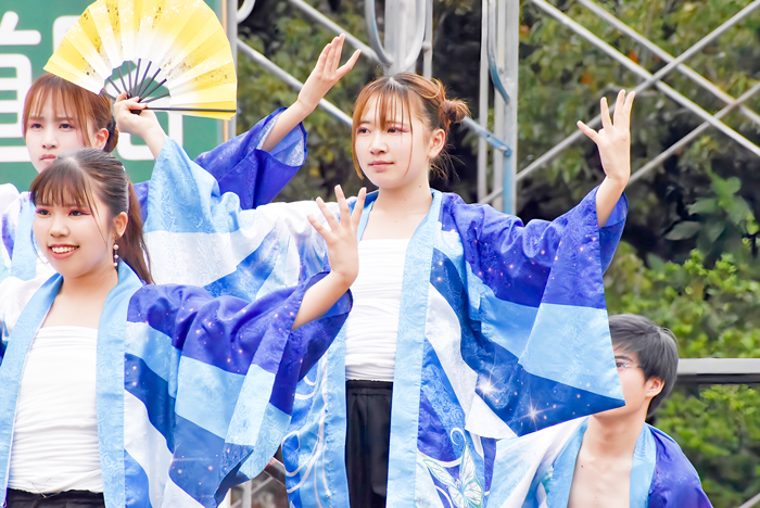 よさこい衣装・祭り衣装　　平成音楽大学ー響華ー様 