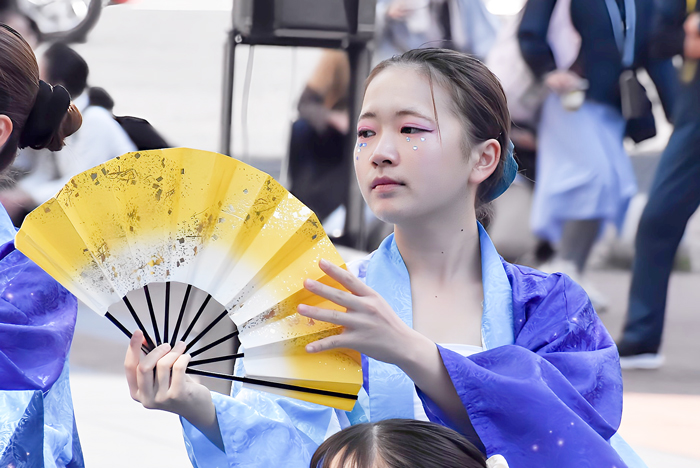 よさこい衣装・祭り衣装　　平成音楽大学ー響華ー様 
