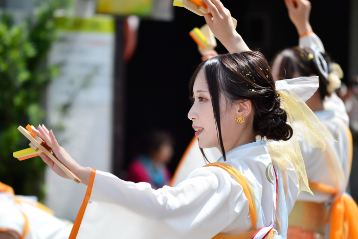 よさこい衣装・祭り衣装　　夏帰鳥～なつきちょう～様 