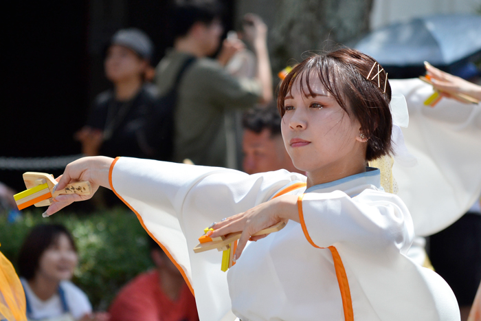 よさこい衣装・祭り衣装　　夏帰鳥～なつきちょう～様 