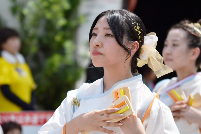 よさこい衣装・祭り衣装　　夏帰鳥～なつきちょう～様 
