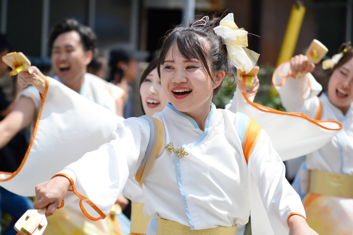 よさこい衣装・祭り衣装　　夏帰鳥～なつきちょう～様 