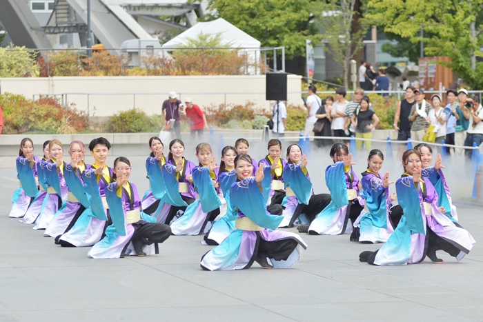 よさこい衣装・祭り衣装　　よさこいソーランサークル 凰様 
