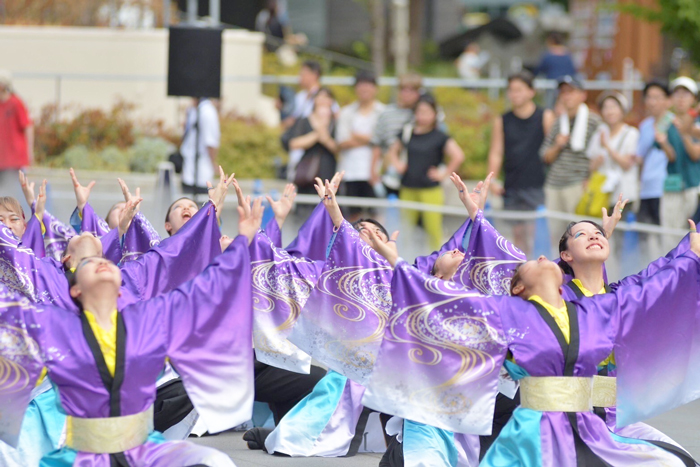 よさこい衣装・祭り衣装　　よさこいソーランサークル 凰様 