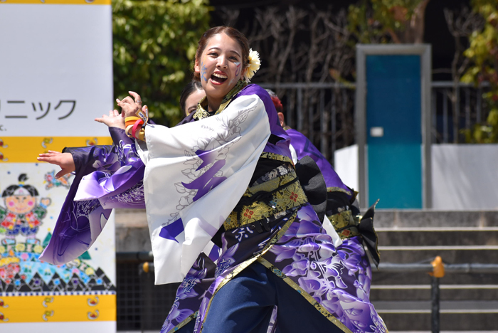 よさこい衣装・祭り衣装　　うらじゃ連謳歌ーOHCAー様 