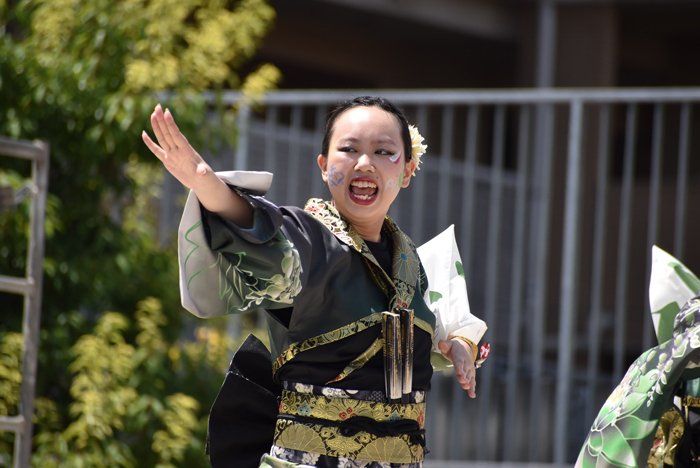 よさこい衣装・祭り衣装　　うらじゃ連謳歌ーOHCAー様 