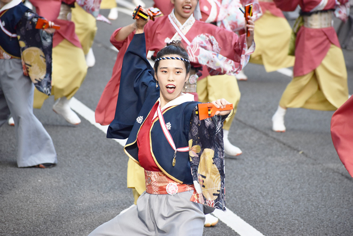 よさこい衣装・祭り衣装　　祭屋よさこい踊り子隊様 