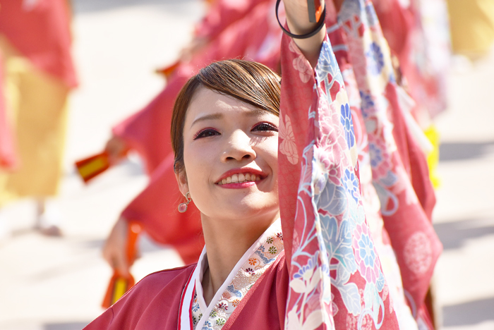 よさこい衣装・祭り衣装　　祭屋よさこい踊り子隊様 