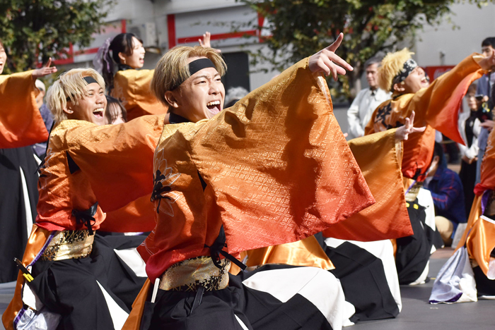 よさこい衣装・祭り衣装　　下関市立大学よさこいダンスサークル震様 