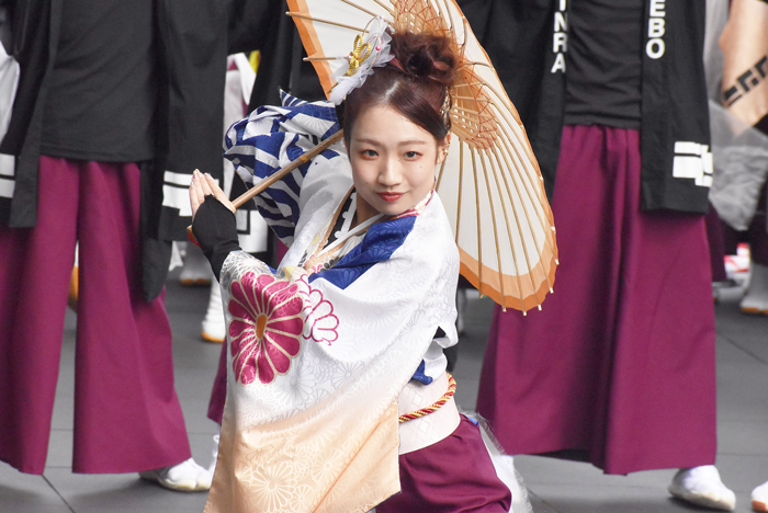 よさこい衣装・祭り衣装　　しんら様 