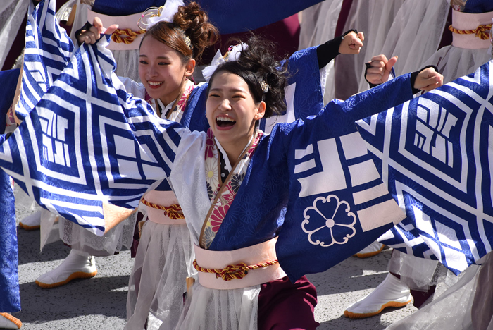 よさこい衣装・祭り衣装　　しんら様 