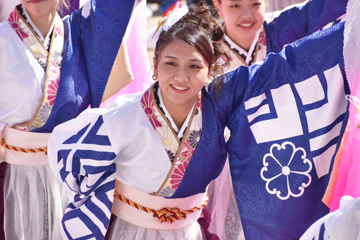 よさこい衣装・祭り衣装　　しんら様 