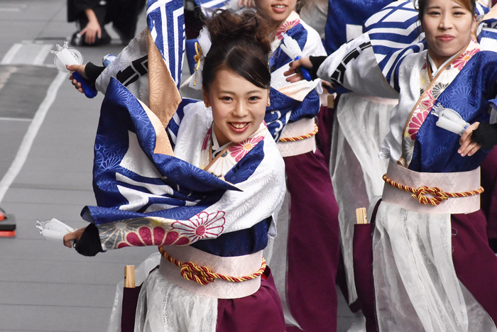 よさこい衣装・祭り衣装　　しんら様 
