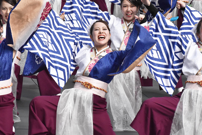 よさこい衣装・祭り衣装　　しんら様 