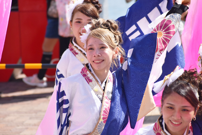 よさこい衣装・祭り衣装　　しんら様 