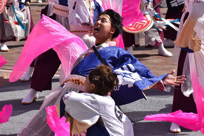よさこい衣装・祭り衣装　　しんら様 