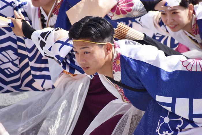 よさこい衣装・祭り衣装　　しんら様 