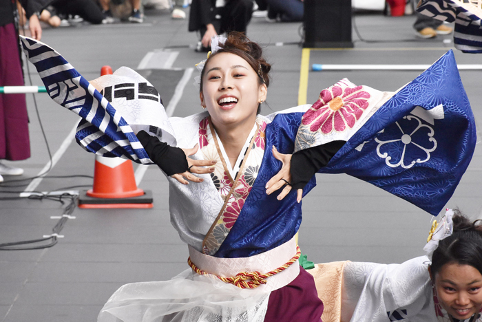 よさこい衣装・祭り衣装　　しんら様 