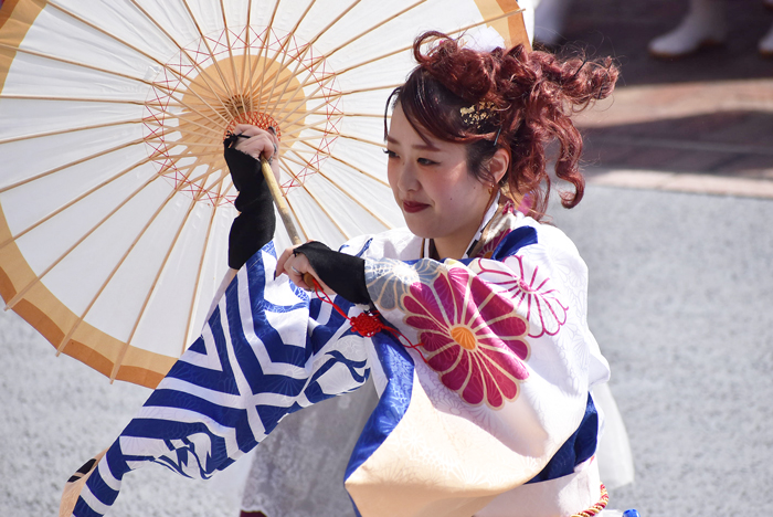 よさこい衣装・祭り衣装　　しんら様 