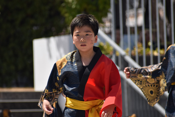 よさこい衣装・祭り衣装　　好猛流優笑舞様 