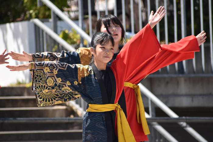 よさこい衣装・祭り衣装　　好猛流優笑舞様 