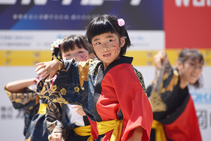 よさこい衣装・祭り衣装　　好猛流優笑舞様 