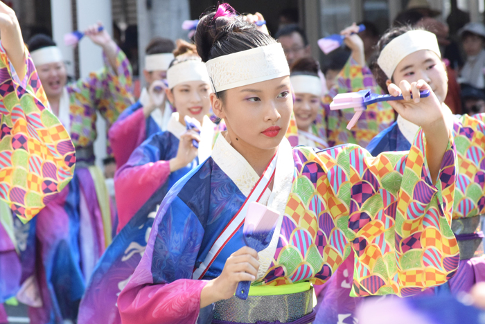 よさこい衣装・祭り衣装　　たか家様 