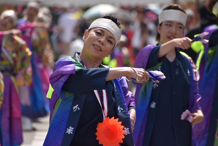 よさこい衣装・祭り衣装　　たか家様 