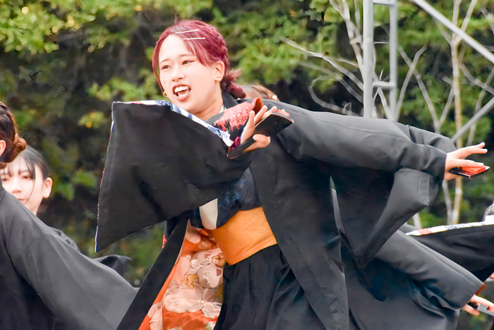 よさこい衣装・祭り衣装　　島根県立大学 よさこい橙蘭様 