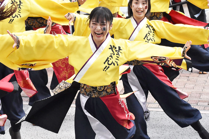 よさこい衣装・祭り衣装　　山口大学よさこいやっさん！！様 