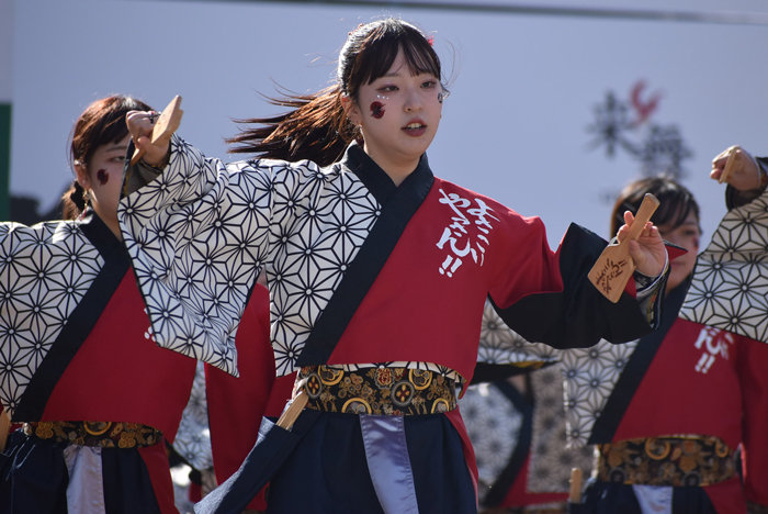 よさこい衣装・祭り衣装　　山口大学よさこいやっさん！！様 