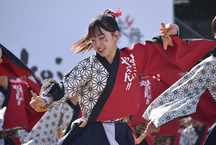 よさこい衣装・祭り衣装　　山口大学よさこいやっさん！！様 