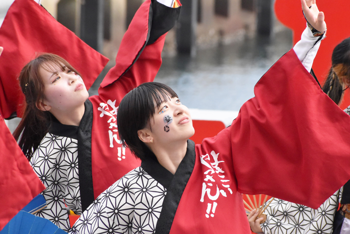よさこい衣装・祭り衣装　　山口大学よさこいやっさん！！様 