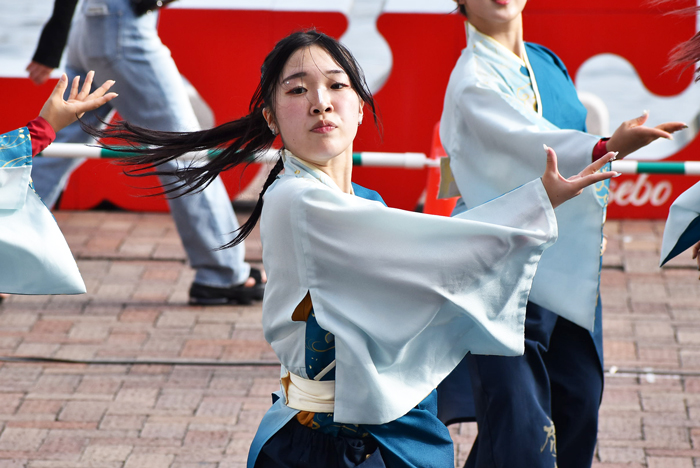 よさこい衣装・祭り衣装　　APUよっしゃ虎威様 