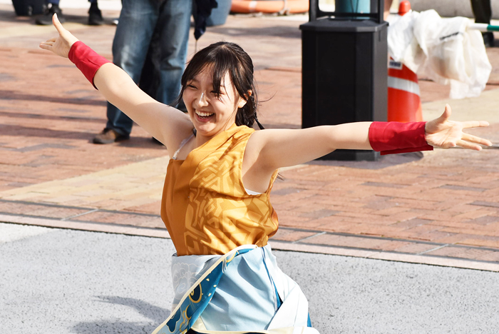 よさこい衣装・祭り衣装　　APUよっしゃ虎威様 