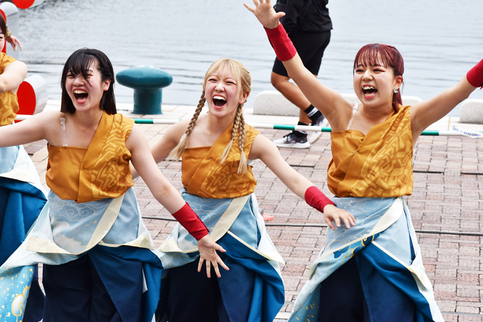 よさこい衣装・祭り衣装　　APUよっしゃ虎威様 