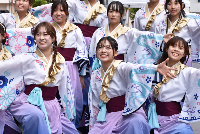 よさこい衣装・祭り衣装　　山口県立大学よさこい部奄美連合萩組様 