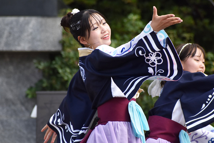 よさこい衣装・祭り衣装　　山口県立大学よさこい部奄美連合萩組様 