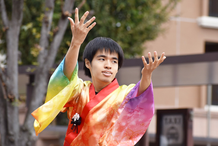 よさこい衣装・祭り衣装　　鹿児島大学よさこいサークル隼人様 