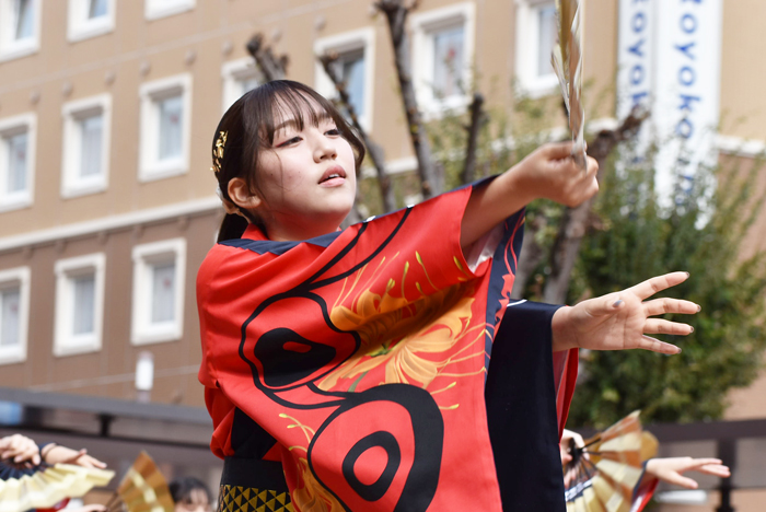 よさこい衣装・祭り衣装　　熊本県立大学一大事様 